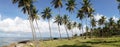 Tropical Beach and Ocean island setting in Samana, Dominican Republic. Royalty Free Stock Photo