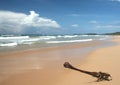 Tropical beach and palm frond