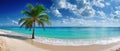 The tropical beach with a palm tree and clear blue ocean waters. AI generated image Royalty Free Stock Photo