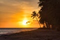 Tropical beach and palm tree on Maui with fiery sky. Royalty Free Stock Photo