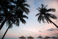 Tropical beach with palm tree at soft amazing dusk. Travel.