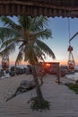 Tropical beach with a palm tree, stones, lamps at sunset