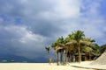 Tropical beach of palm trees Royalty Free Stock Photo