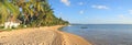 Tropical beach with palm trees