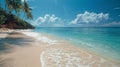 Tropical Beach with Palm Trees Royalty Free Stock Photo