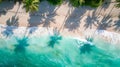 Tropical beach with palm trees. Aerial drone view, view from above