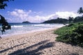 Tropical beach with palm trees Royalty Free Stock Photo