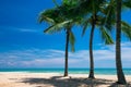 tropical beach with palm trees and lagoon Royalty Free Stock Photo