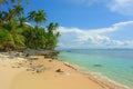 Tropical beach with palm trees Royalty Free Stock Photo