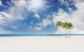 Tropical beach with palm trees in Miami Florida Royalty Free Stock Photo