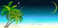 Tropical beach with palm trees at night Royalty Free Stock Photo