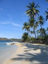 tropical beach palm trees philippines Royalty Free Stock Photo