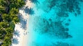 Tropical beach with palm trees, sand and sea blue water, aerial top view, generative AI Royalty Free Stock Photo