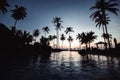 Tropical beach with palm trees silhouettes during the awesome sunset Royalty Free Stock Photo