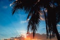 Tropical beach with palm trees silhouettes at dusk sky Royalty Free Stock Photo