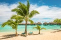 Tropical beach with palm trees and sun beds. Royalty Free Stock Photo