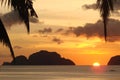 Tropical beach with palm trees at sunset, El Nido, Palawan island, the Philippines Royalty Free Stock Photo