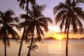 Tropical beach with palm trees at sunset, El Nido, Palawan island, the Philippines Royalty Free Stock Photo