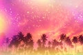 Tropical beach palm trees at sunset silhouettes fairy tale party stylized with colorful light leaks Royalty Free Stock Photo
