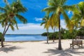 Tropical beach with palm trees and turquoise sea in Caribbean island Royalty Free Stock Photo