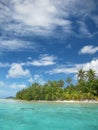 Tropical beach with palm trees Royalty Free Stock Photo