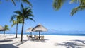 Tropical beach with palm trees and white sand blue ocean and beach beds with umbrella,Sun chairs and parasol under a Royalty Free Stock Photo