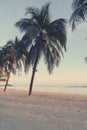 Tropical beach with palm trees and white sand at sunset, retro toning Royalty Free Stock Photo