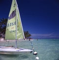 beach with palm trees white sand, turquoise sea in punta cana dominican republic, tourists in deck chairs sunbathing and