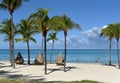 Tropical beach, palms. Varadero, Cuba. Royalty Free Stock Photo