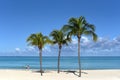 Tropical beach, palms. Varadero, Cuba. Royalty Free Stock Photo