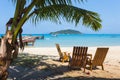Tropical beach panorama with deckchairs, boats and palm tree Royalty Free Stock Photo