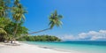 Tropical beach panorama with a leaning palm tree, Bintan island near Singapore Indonesia Royalty Free Stock Photo