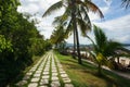 Tropical Beach path