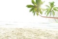 Tropical Beach Peaceful Vacations Summer Concept