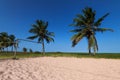 Tropical beach with rustic goal, palm trees, white sand and pure Royalty Free Stock Photo