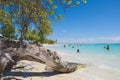 Tropical beach of Sainte Anne - Guadeloupe tropical island