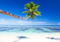 Tropical beach on Samoa vacation Royalty Free Stock Photo
