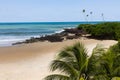 Tropical beach with sand and palmtrees