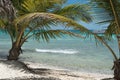 Tropical beach on Saona Island in the Dominican Republic, where anyone would like to be