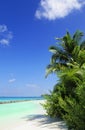 Tropical beach scene Royalty Free Stock Photo