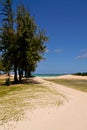 Tropical beach scene from Hawaii