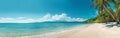 Tropical Beach Scene With Palm Trees and Blue Sky