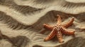 Tropical beach scene with a sea star in the sand Royalty Free Stock Photo