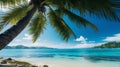 Tropical beach background with palm tree and azure sea Royalty Free Stock Photo