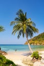 Tropical beach sea beautiful sand in summer season with Coconut Palm tree on white sandy beach in Phuket Thailand