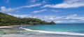 Tropical beach with sea and palm taken from drone. Beach and sea