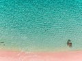 Tropical beach with sea and pink sand from drone. Komodo islands - aerial photo