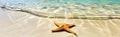 Tropical beach with sea star on sand. Royalty Free Stock Photo