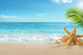 Tropical beach with sea star on sand, summer holiday background. Travel and beach vacation, free space for text. Royalty Free Stock Photo