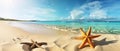 Tropical beach with sea star on sand, summer holiday background . Travel promotion banner template Generative AI Royalty Free Stock Photo